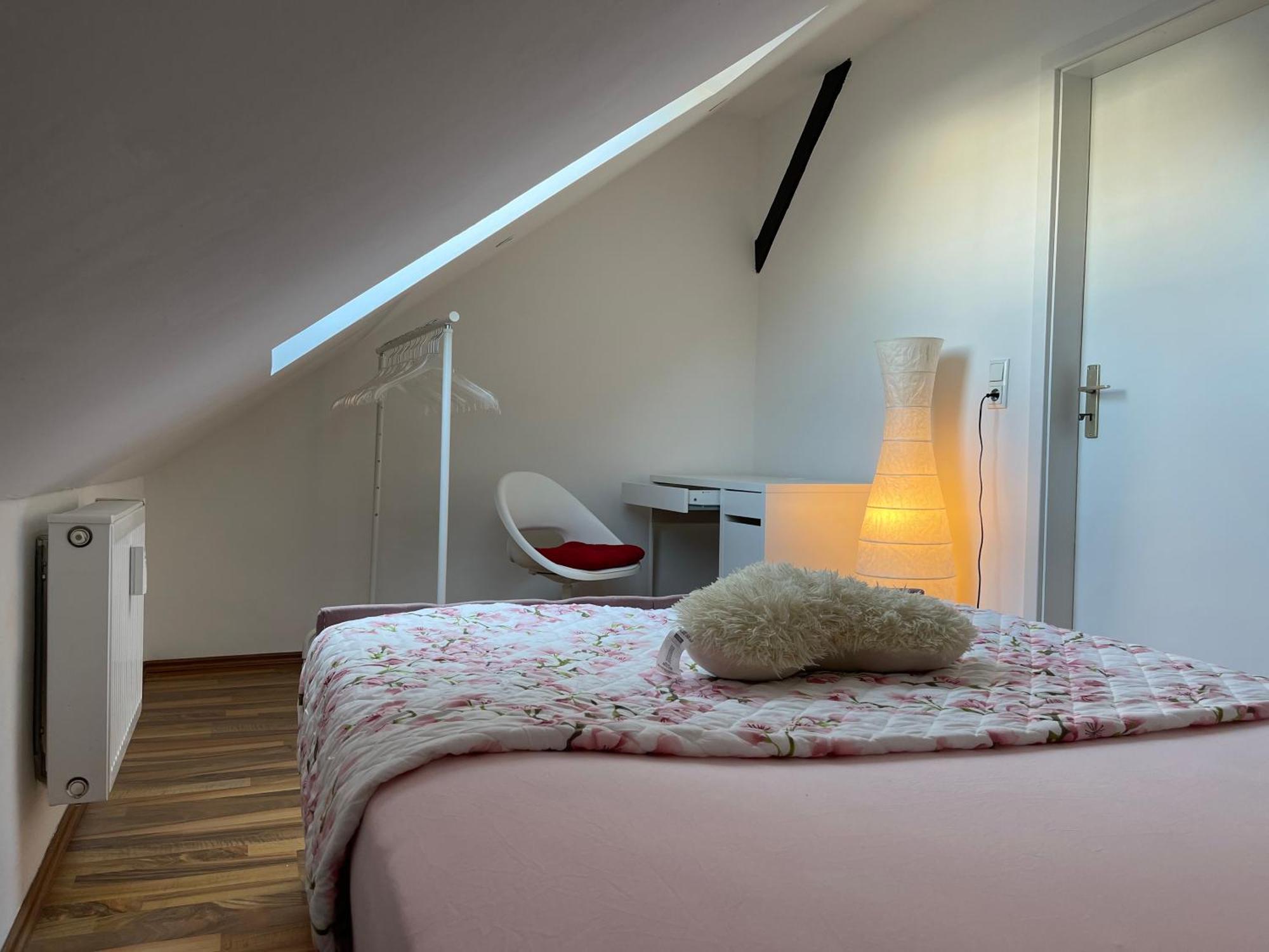 Geraeumige 3-Zimmer-Ferienwohnung Im Herzen Von Kassel Bagian luar foto